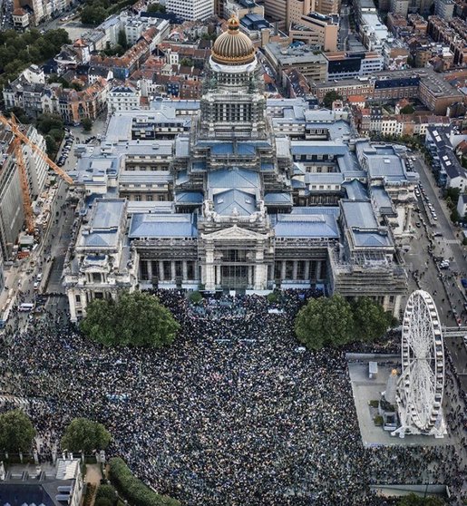 qlfdtp-Bruxelles-2020-BLMBelgium-Online-archief-AMSAB