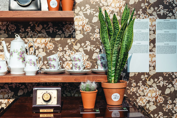 IMG_8029_web_c_Michiel_Devijver