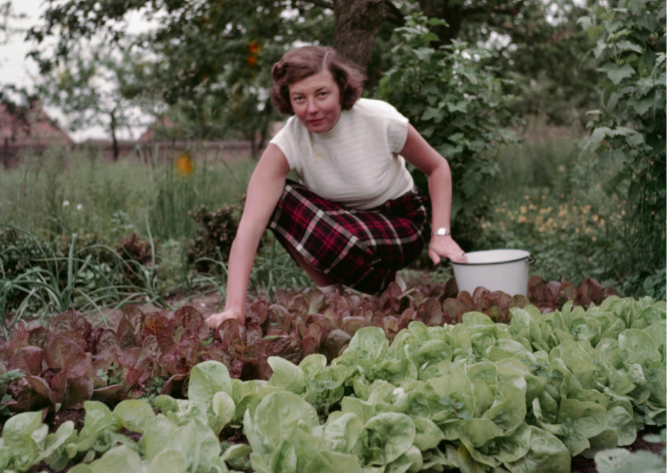 Oproep_moestuinfoto_s