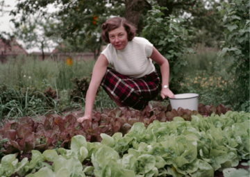 Oproep_moestuinfoto_s