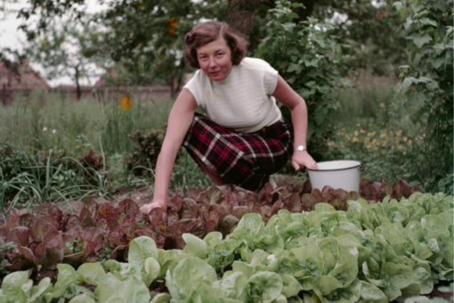 Oproep_moestuinfoto_s