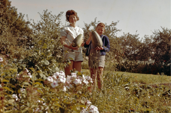 Oproep_moestuinfoto_s_1