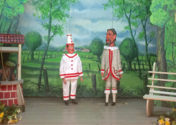 DE_SLUIER_VAN_DE_FEE