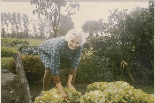 Vrouw-in-moestuin-Booischot-jaren-1970