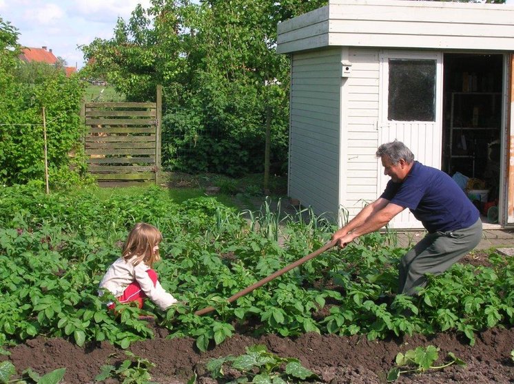 Opa-en-kleinkind-in-moestuin-Oostkamp-2006