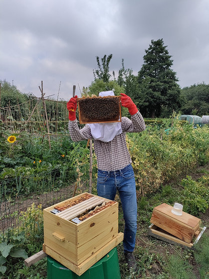 Imker-in-Volkstuinen-Gentbrugse-Meersen-Gentbrugge-jaren-2020