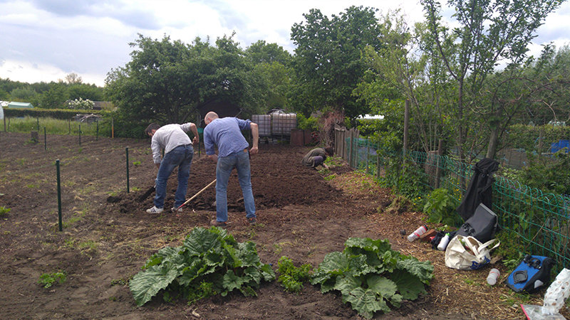 Moestuiniers-aan-het-werk-in-Volkstuinen-Gentbrugse-Meersen-Gentbrugge-jaren-2020
