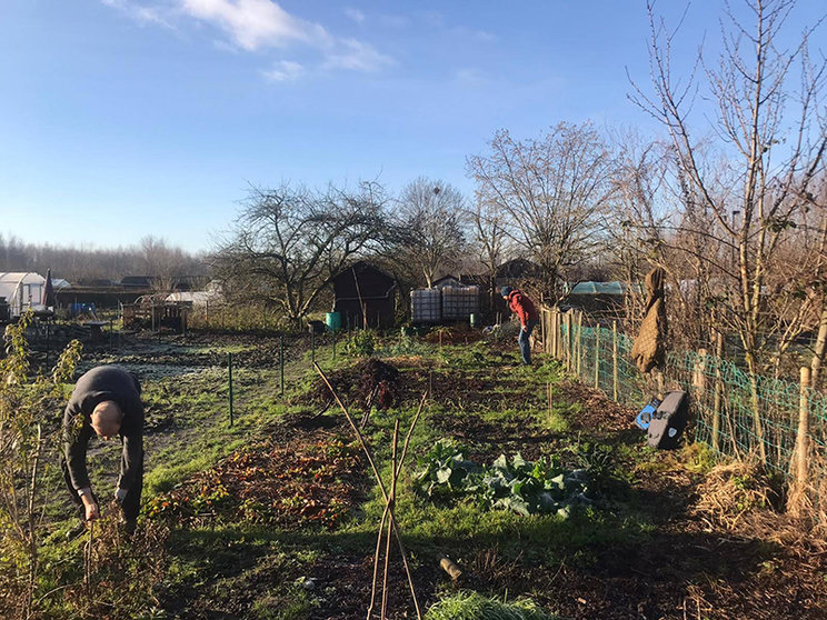 Moestuiniers-in-Volkstuinen-Gentbrugse-Meersen-Gentbrugge-jaren-2020