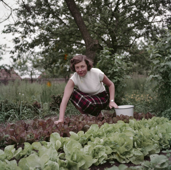 Vrouw-bij-moestuin
