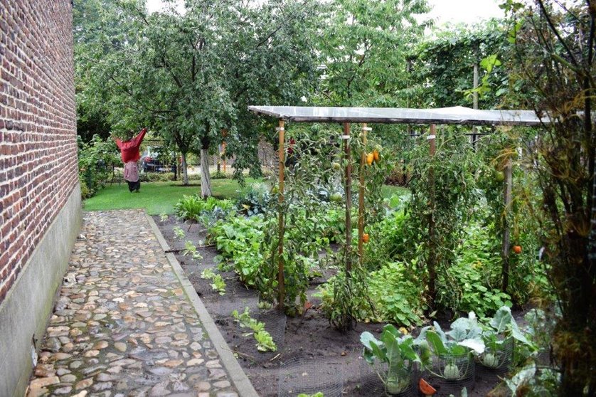 Moestuin-Slichtenhof-Molenbeersel-2022