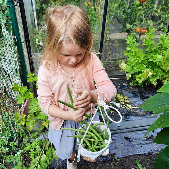 Kind-helpt-mee-in-moestuin-Wijnegem-jaren-2020