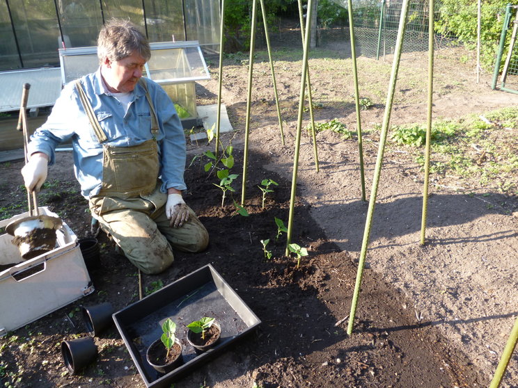 Man-werkt-in-moestuin-Wijnegem-jaren-2020