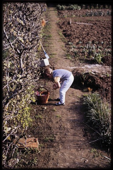 Paaseieren-rapen-in-de-moestuin-Linden-1986