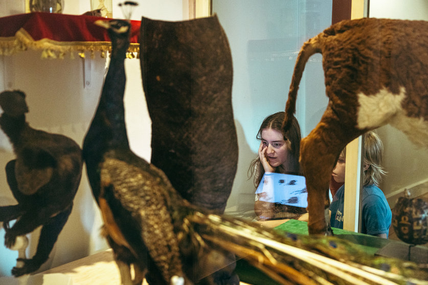 IMGL0779_web_c_Michiel_Devijver