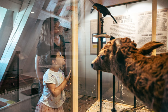 IMGL9893_web_c_Michiel_Devijver