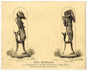 Feejee_Mermaid_Publiek_domein