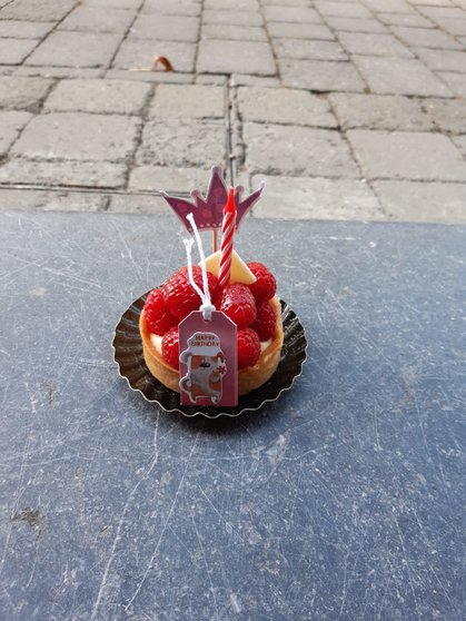 Verrassingstaartje-op-de-stoep-voor-Els-haar-verjaardag